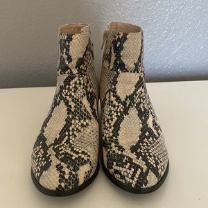 Steve Madden Snake Skin Booties